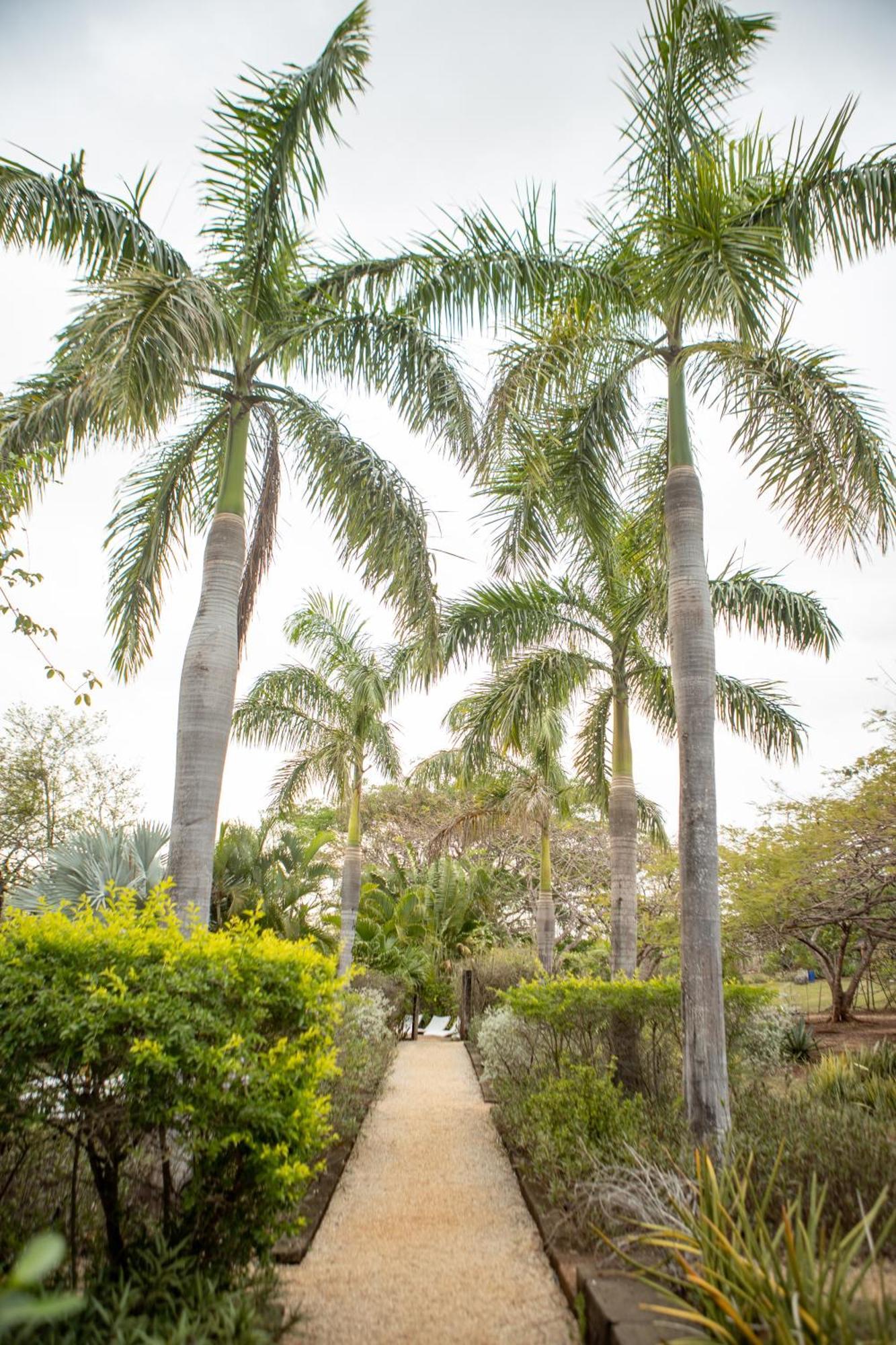 Latica Lodge Playa Negra ภายนอก รูปภาพ